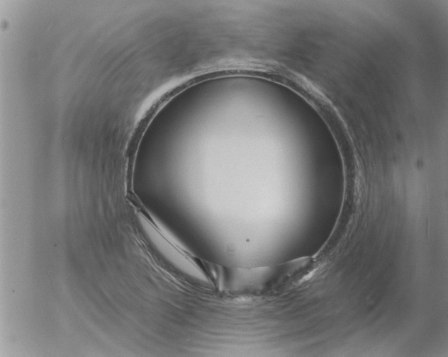 X0000053091222200508012024