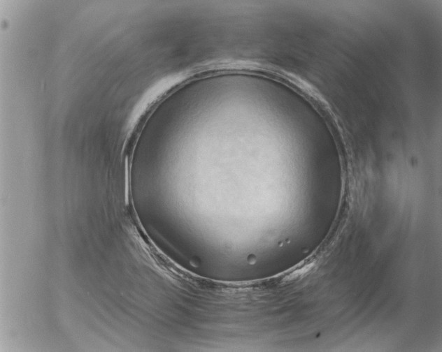 X0000053091223200508012024