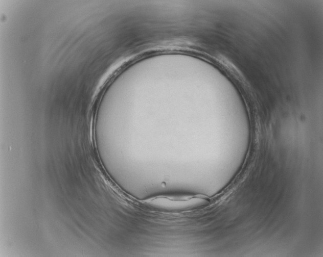 X0000053091224200508012024