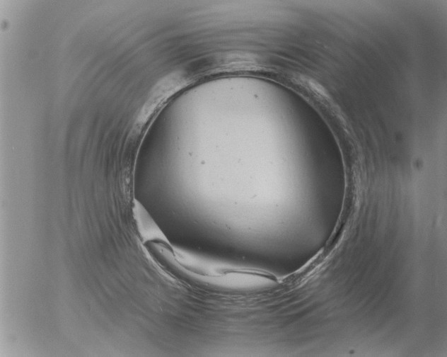 X0000053091225200508012024