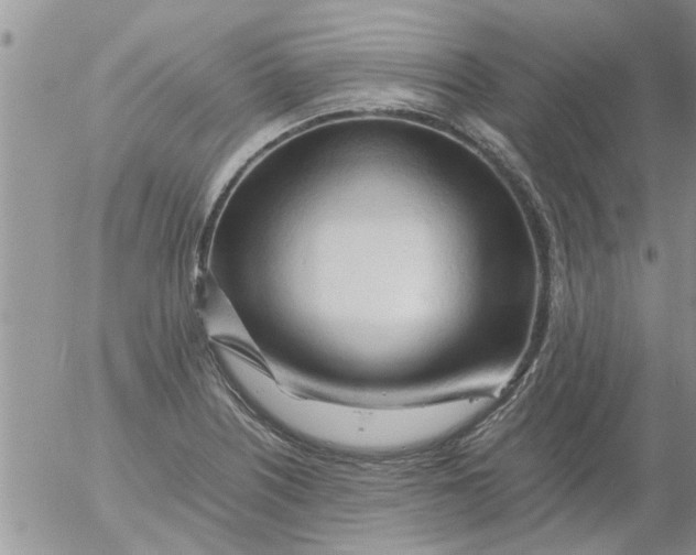 X0000053091226200508012024