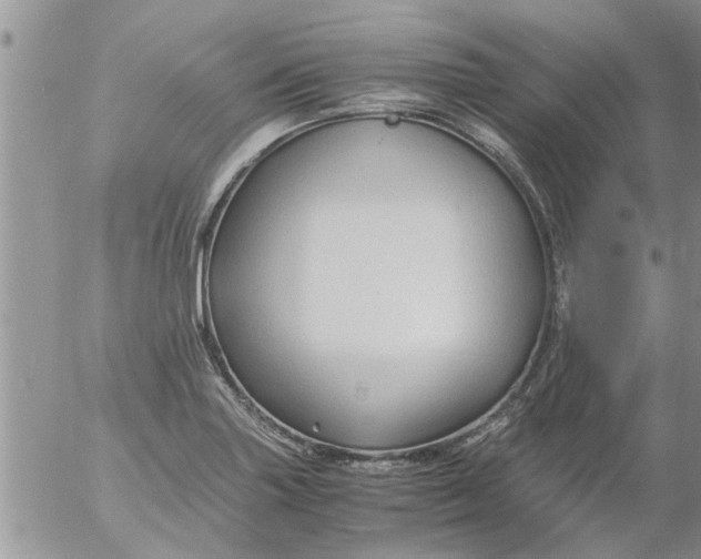 X0000053091227200508012024