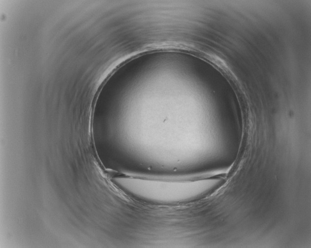 X0000053091228200508012024