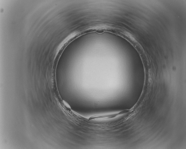 X0000053091229200508012024