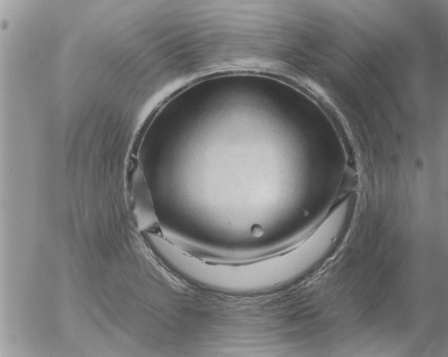 X0000053091230200508012024