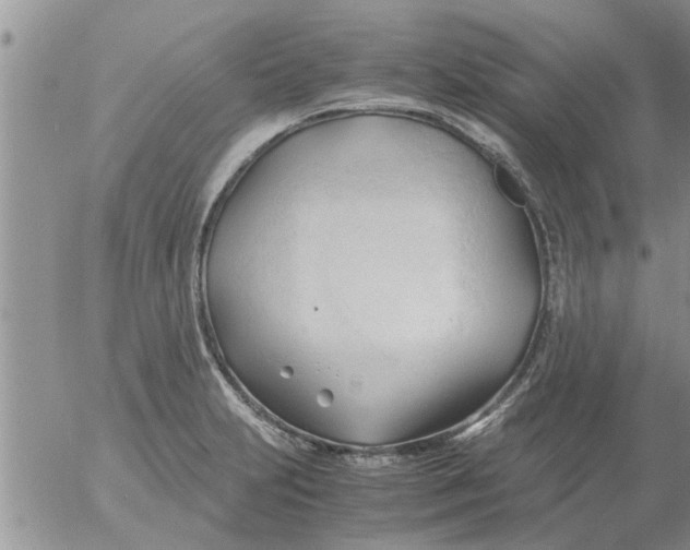 X0000053091231200508012024