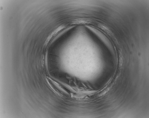 X0000053091233200508012024