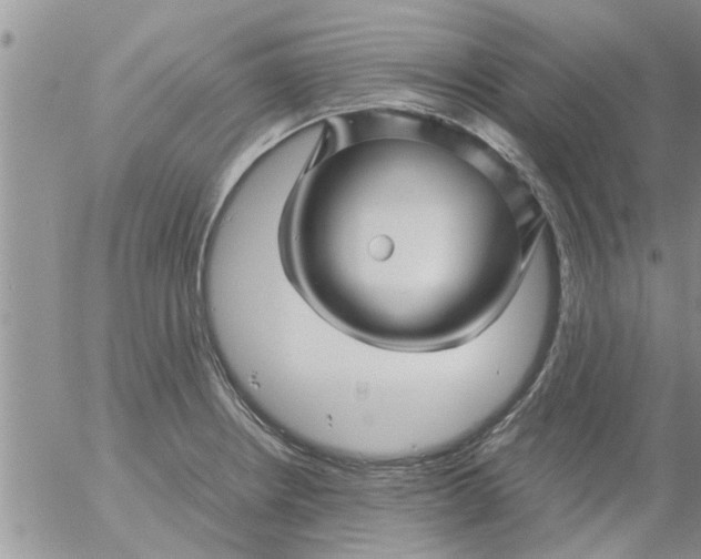 X0000053091234200508012024