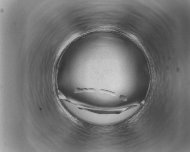 X0000053091235200508012024