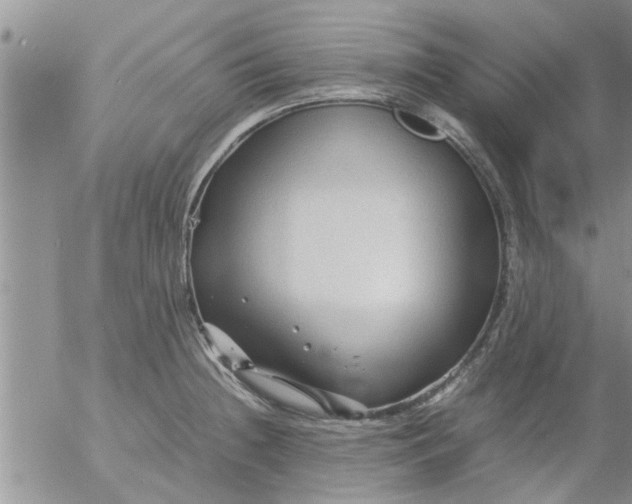 X0000053091236200508012024