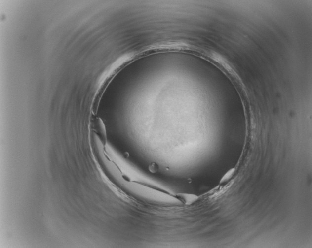 X0000053091237200508012024