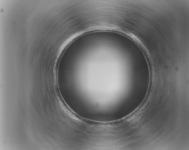 X0000053091238200508012024