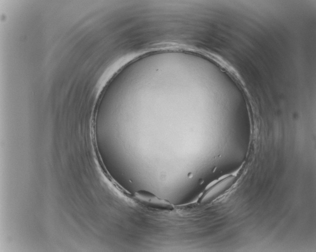 X0000053091239200508012024