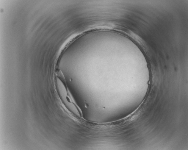 X0000053091240200508012024