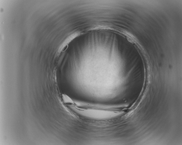 X0000053091241200508012024