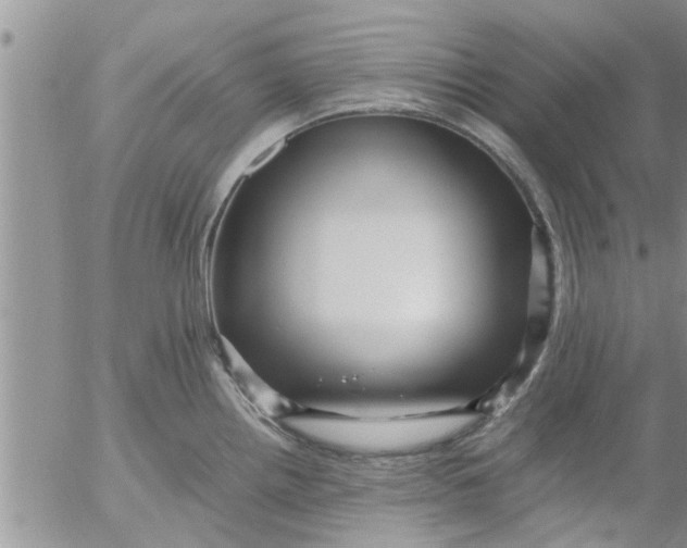 X0000053091242200508012024