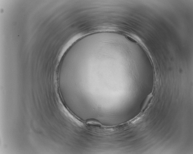 X0000053091243200508012024