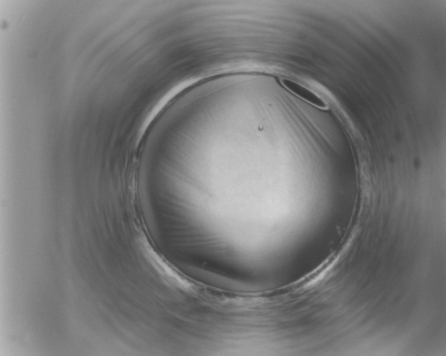 X0000053091244200508012024