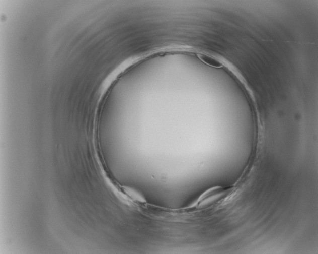 X0000053091245200508012024