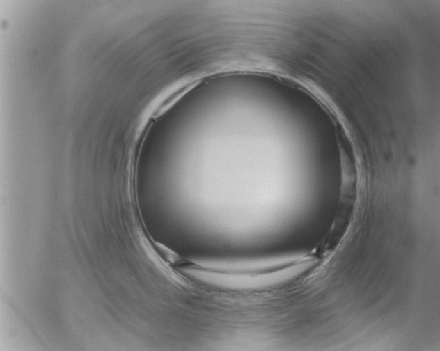 X0000053091246200508012024