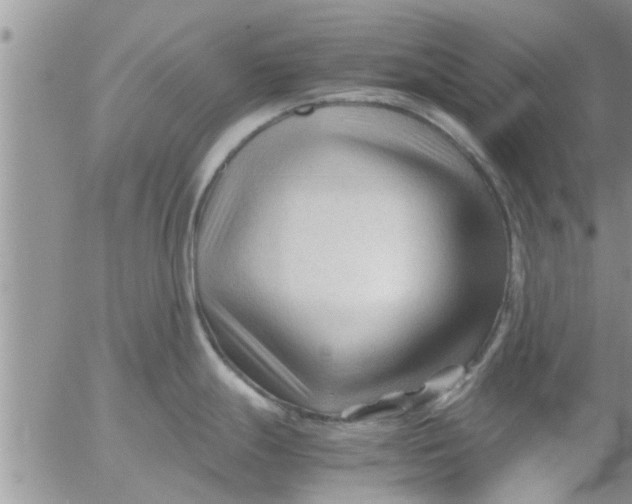 X0000053091247200508012024