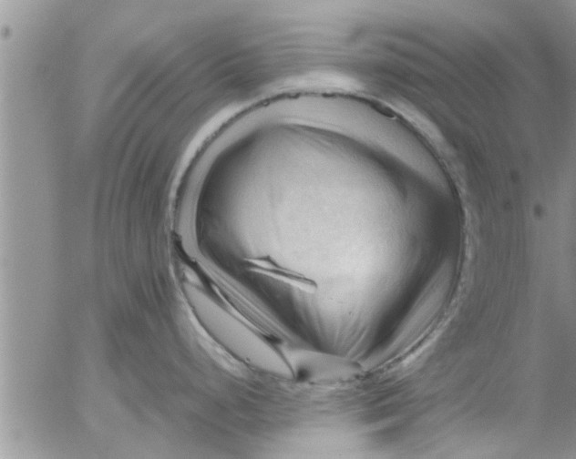 X0000053091248200508012024