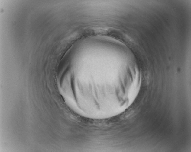 X0000053091249200508012023