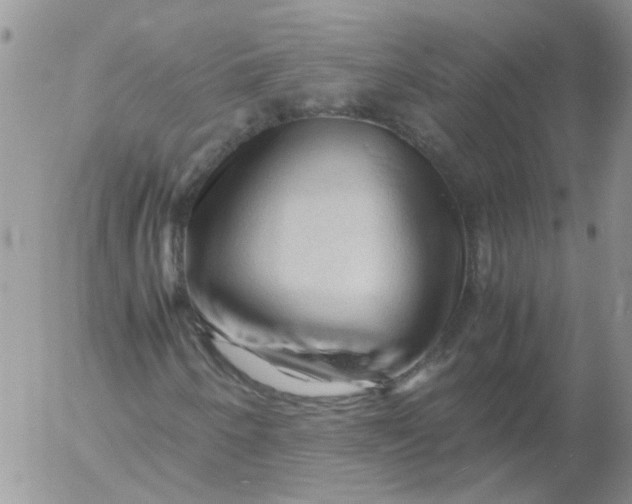 X0000053091250200508012023