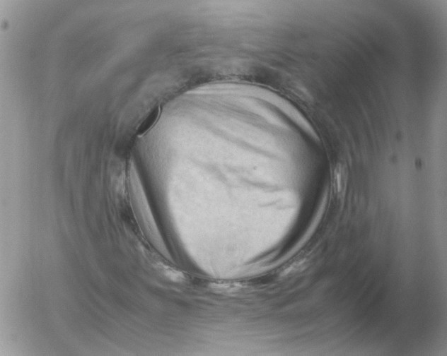 X0000053091251200508012023