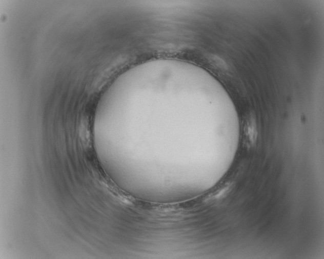 X0000053091252200508012023