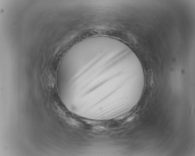 X0000053091253200508012023