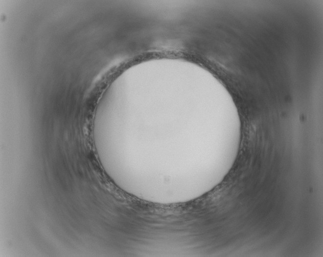 X0000053091254200508012023