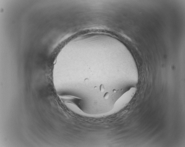 X0000053091255200508012023