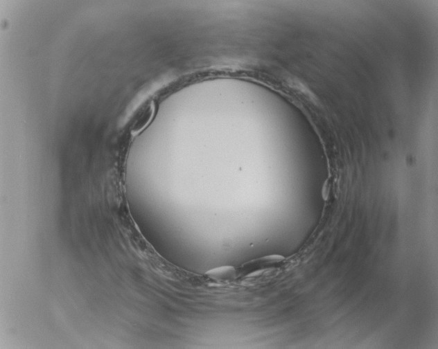 X0000053091256200508012023