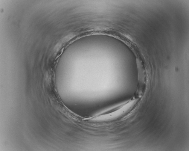 X0000053091257200508012023