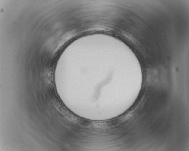 X0000053091258200508012023