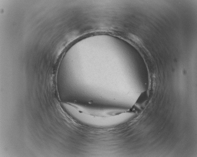 X0000053091260200508012023