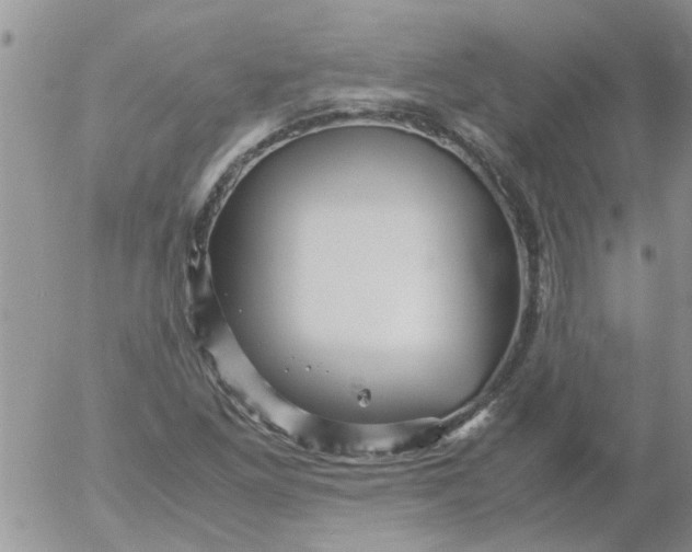 X0000053091261200508012023