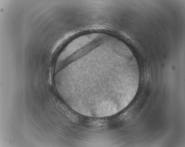 X0000053091262200508012023