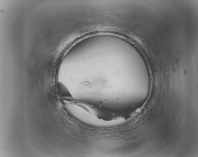 X0000053091263200508012023