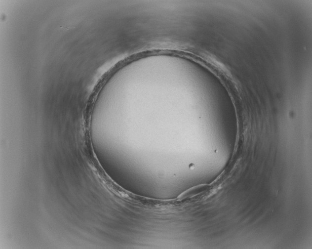 X0000053091264200508012023