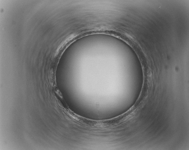 X0000053091265200508012023