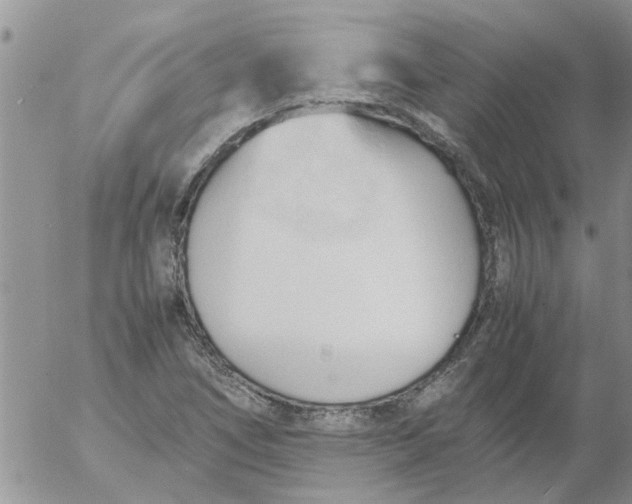 X0000053091266200508012023