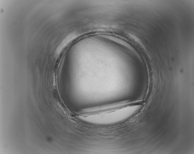 X0000053091267200508012023