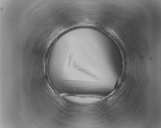 X0000053091268200508012023