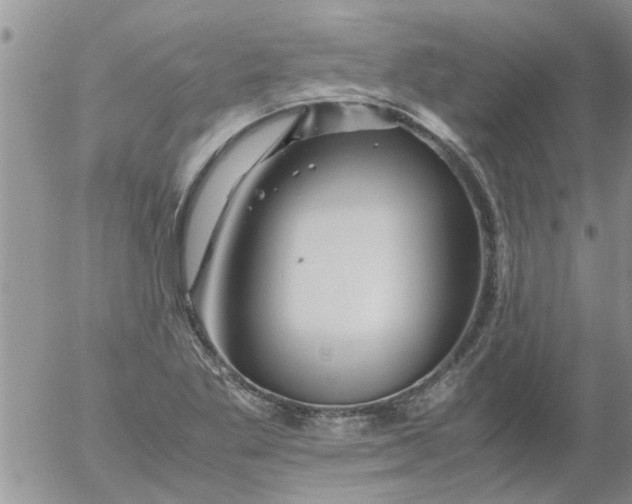 X0000053091269200508012023