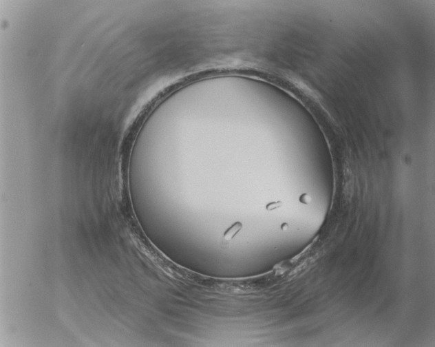 X0000053091270200508012023