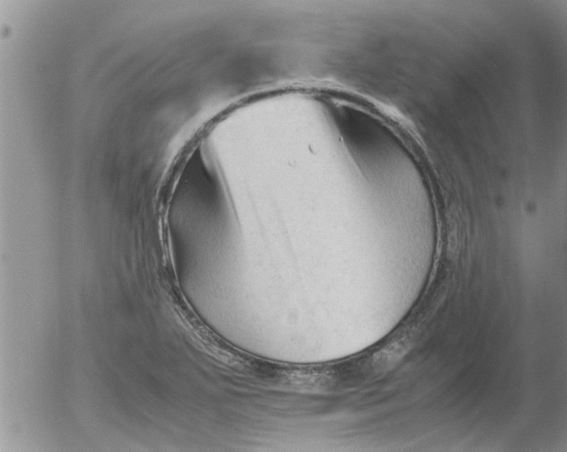 X0000053091271200508012023