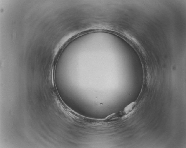 X0000053091272200508012023