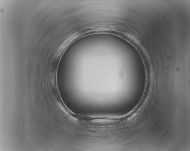 X0000053091273200508012023